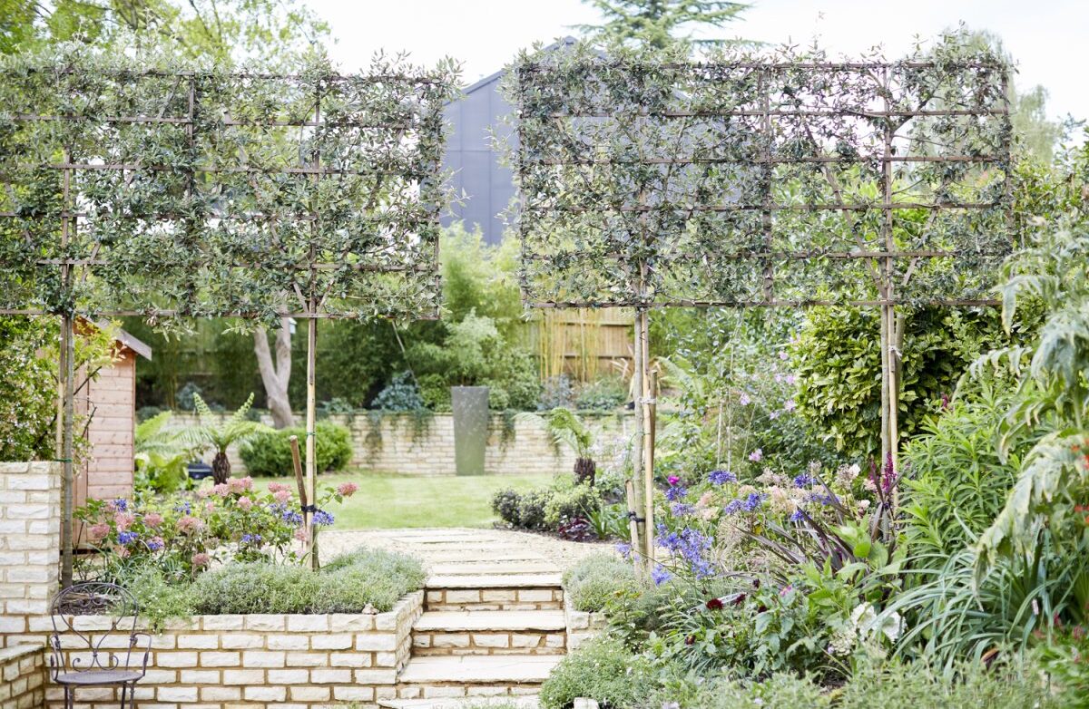 Professional Landscaping Services in Hampshire: Transform Your Garden in 2026