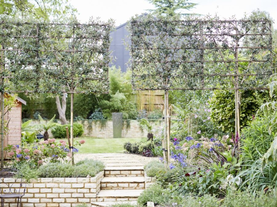 Professional Landscaping Services in Hampshire: Transform Your Garden in 2026